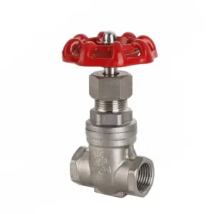 1/2" 3/4" 1" 2" Female Thread Stainless Steel SS304 Gate Valve DN15 DN20 DN25 DN32 DN40 DN50 Straight through Gate Valve 1.6Mpa