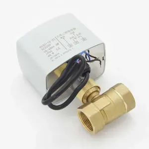 AC220V Electric Ball Valve Two-Way Three-Wire Control CR02 Motorized Brass Actuator Threaded DN15 DN20 DN25 for Plumbing J19051