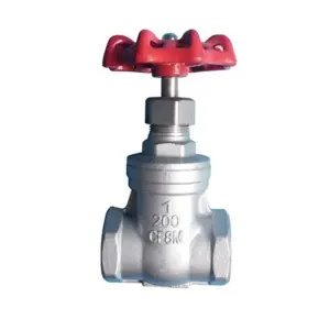 1/4 - 2 inches BSP Female Thread 304 Stainless Steel Sluice Gate Valve SS304 Water Pipe Fitting DN8-DN50 Threaded Faucet