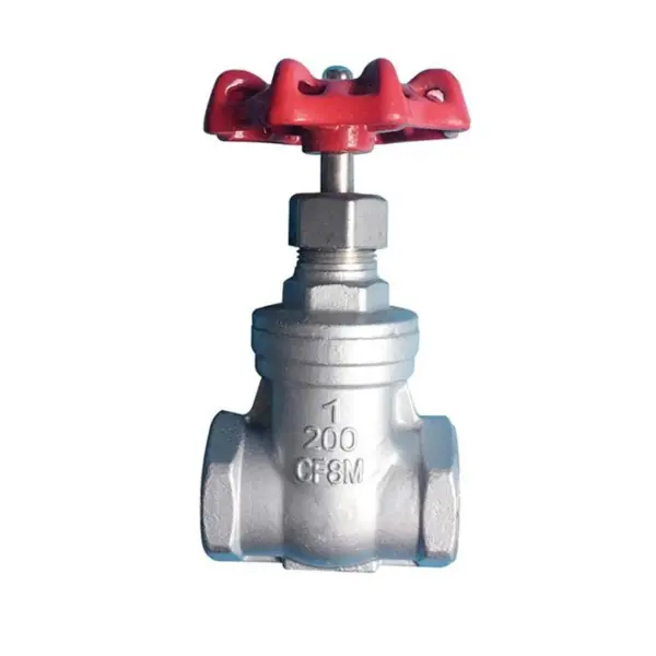 1/4 - 2 inches BSP Female Thread 304 Stainless Steel Sluice Gate Valve SS304 Water Pipe Fitting DN8-DN50 Threaded Faucet