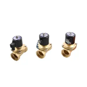 2" Female Thread Electric Solenoid Valve Dc12v dc24v ac220v N/C Pneumatic Valve for Water Oil Air 220V AC