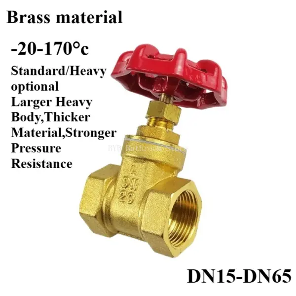 1/2" 3/4"1‘’ Female To Female Thread Two Way Brass Gate Valves DN15 20 25 Water Valve Switch Valve Internal Thread Gate Valves