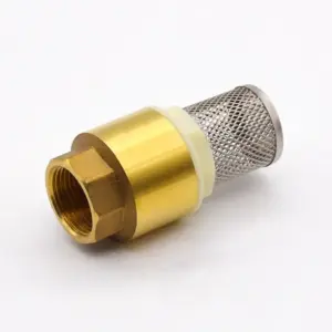 Brass One Way Valve Check Valve Non Return with Strainer Filter 1/2" BSPT Female Threaded