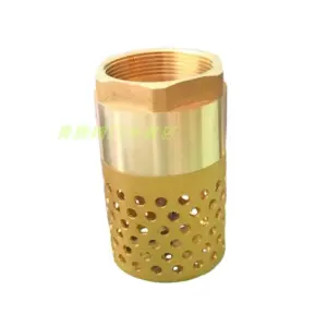 DN25/32/40/50/65/80 1" 1-1/4" 1-1/2" 2" 3" BSP Female Brass One Way Foot Bottom Check Valve Non-return Strainer Filter Plumbing