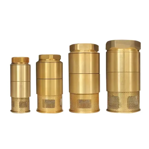 1" 1-1/2" 2" 2-1/2" 3" 4" BSP Female Brass Non-return One Way Check Valve With Fliter For gas station Oil Tank Bottom