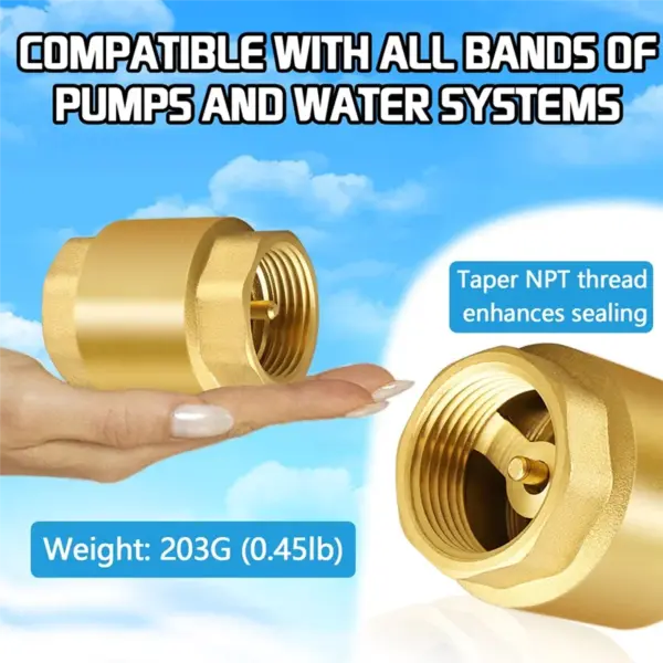A19F-2PCS NPT Female Thread Spring Check Valve, Solid Brass Non Return One Way Horizontal Check Valve For Well, Pump