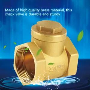 DN50 Check Valve One Way Valve DN50 Female Thread Brass NOn return Swing Check Valve 232PSI Prevent Water Backflow Check Valve