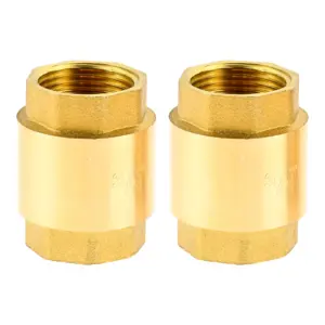 2pcs Brass Spring Check Valve 1/2 3/4 1 Inch NPT Female Thread Non Return One Way Horizontal Vertical In-Line Water Check Valve