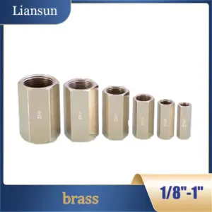 BSP Female Brass One-Way Check Valve - 1/8" 1/4" 3/8" 1/2" 3/4" 1", Pneumatic Non-Return Fitting for Air Compressor