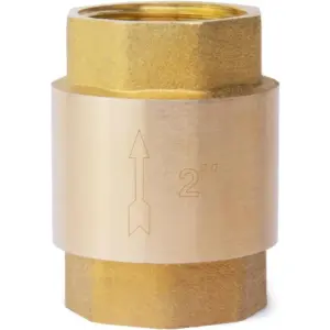 Brass In Line Spring Check Valve DN50 2 Inch Female Thread One Way Non Return Vertical Backflow Preventer