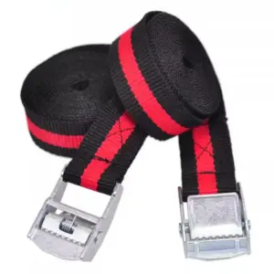 2pcs 2.5cm x 50 - 600 cm Cargo Lashing Polypropylene Webbing Straps Hold and Secure Ratchet Tie Down with Cam Buckle Winch Strap