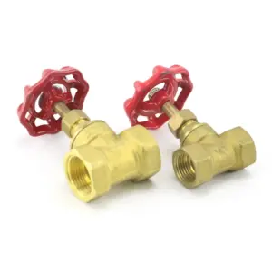 1/2" 3/4" 1" Brass Gate Valve Female Thread Rotary Water Sluice Valve for Oil Gas DN15 DN20 DN25