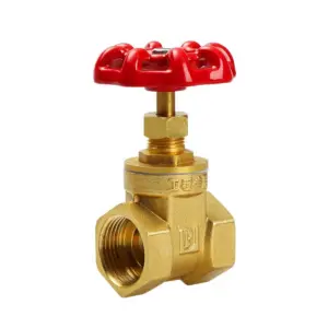 1PCS Water Brass Gate Valve Red Cap Shaped Handle Female Threaded Dual Ports