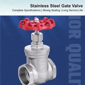 304 Stainless Steel Gate Valve – Full Bore Female Thread Shut Off Valve, PN16, for Water/Oil/Air Lines – Sizes DN8 to DN50 (BSPP