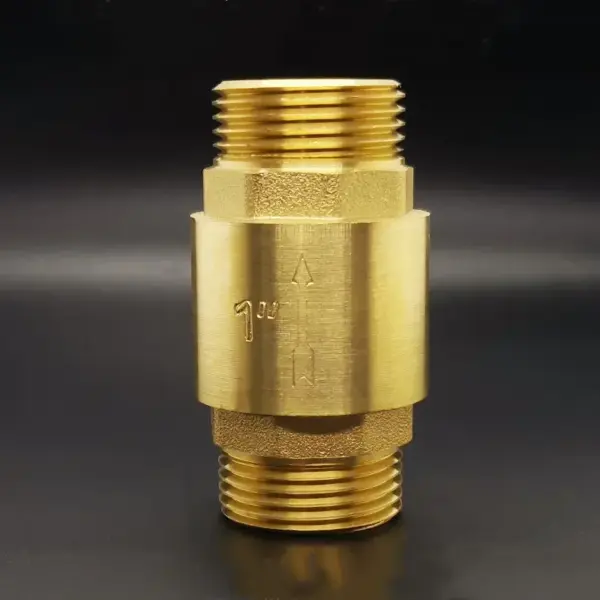 1/2" 3/4" 1" BSP Male To Male Thread Brass Vertical One Way Non Return Check Valve for Backflow Prevention
