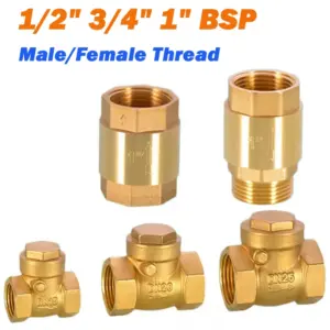 1Pcs 1/2" 3/4" 1" BSP Brass One Way Spring Check Valves Male/Female Thread Non Return Valve Water Pump Valve
