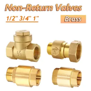 1Pcs Brass One Way Check Valves 1/2" 3/4" 1" BSP Male/Female Thread Non Return Valve Spring Swing Vertical Check Valve