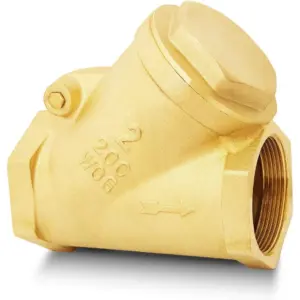 Two Inch Brass Y Pattern Check Valve One Way Non Return for Oil Water Gas Air DN50