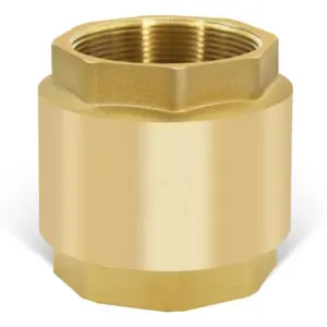 Brass Vertical Check Valve DN80 One Way Non Return Spring Loaded for Water Oil Gas Air Backflow Prevention