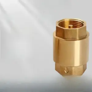 Vertical Brass Check Valve Spring Type Thickened Tap Water Pipe Non-Return One-Way Valve 1/2, 3/4, 1 Inch
