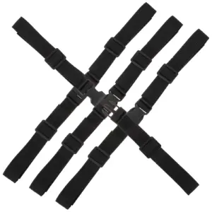4Pcs Premium Ring Straps with Cam Buckles Adjustable Tie Down Straps for Suitcase Backpack Kayak Compression Packing Use