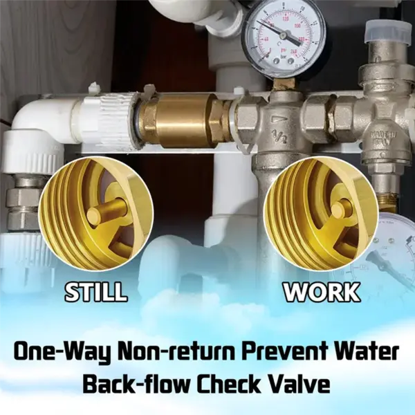 A06R 2PCS NPT Female Thread Spring Check Valve, Solid Brass Non Return One Way Horizontal Check Valve For Well, Pump