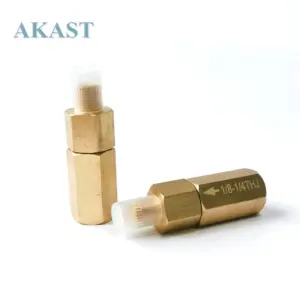 1625166450 1625166451  1625165342  One-way Check Valve G1/8" 1/4" for BOLAITE Air Compressor