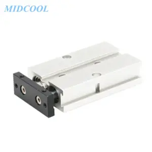 Air Cylinder TN Series 20mm Bore TN20 Twin-rod Cylinder Pneumatic Cylinder 10-200mm Stroke With Magnet Double Acting Type