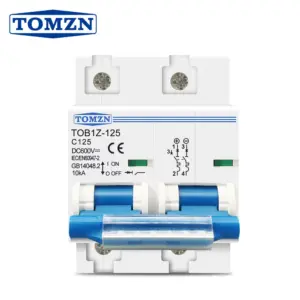 TOMZN 2P 80A 100A 125A DC MCB 600V Circuit Breaker PV System Battery Main Switch