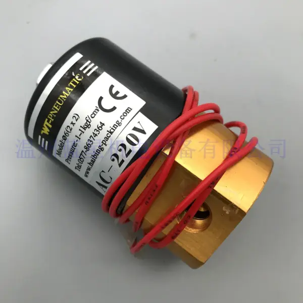 WT-PNEUMATIC Seaside Packaging Factory Vacuum solenoid valve 6 (2X2) AC220V DC24V