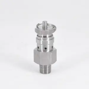 0.1/0.2/0.3 Mpa 1/4" NPT SUS304 Sanitary Adjustable Air Release Pressure Relief Safety Valve Exhaust Homebrew Compressor
