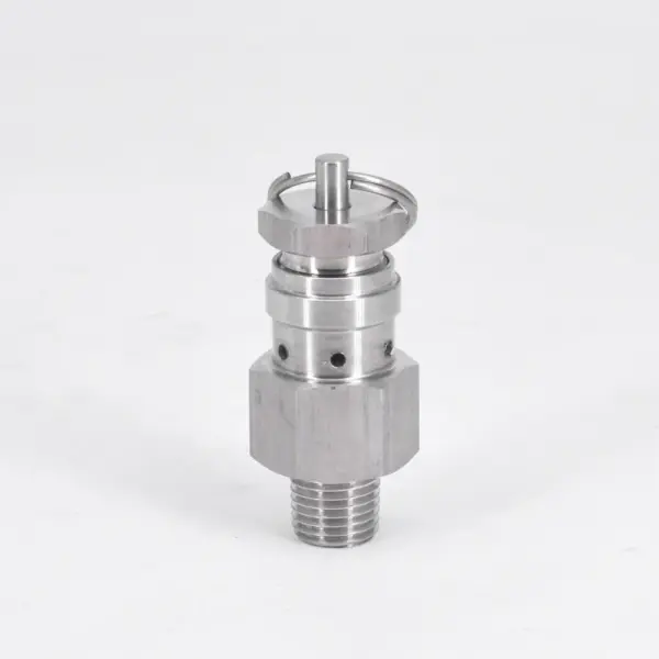 0.1/0.2/0.3 Mpa 1/4" NPT SUS304 Sanitary Adjustable Air Release Pressure Relief Safety Valve Exhaust Homebrew Compressor