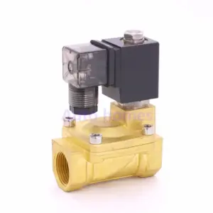 Normally Closed 2 Way Pilot Diaphragm Brass Electric Water Air Solenoid Valve 3/4" BSP 20mm PX-20 NBR 12V 24V DC 110V 220V
