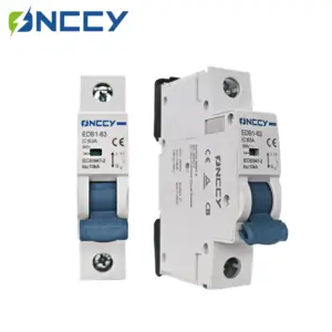 ONCCY EDB1 DC MCB 6KA 1P 250V Mini Circuit Breaker 16A 20A 25A 32A 40A 50A 63A  C Curve Din Rail,DC MCB 12V 24V 48V 60V 110V