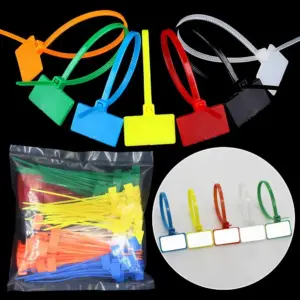 100Pcs Colorful Nylon Cable Ties Plastic Label Strapping Tape Easy Mark Tag Labels Self-locking Zip Ties Mesh Wire Marker Tools