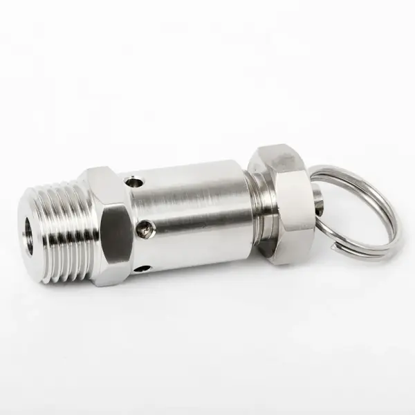 1/4" 3/8" 1/2"Mini Air Release Pressure Relief Safety Valve  BSPT Male Thread 1-10 Bar Exhaust Sanitary Homebrew SS304