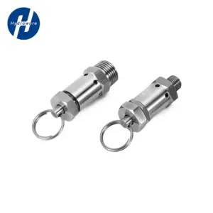 Adjustable 304 Stainless Steel Safety Pressure Relief Valve 1/4 1/2" BSPT NPT Male 0.5-10 Bar for Air Compressor Cooker Homebrew