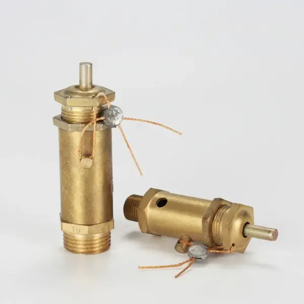 A21W-16T Male Thread Relief Valve DN8 DN15 Pull Ring Type Safety Release Valve for Air Compressor Screw Machine Boiler