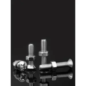 M2-M6 304 Stainless Steel Oval Head Phillips Screws and Nuts Set / Raised Countersunk Half Oval Bolts with Hex Nuts Furniture