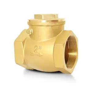 NPT Horizontal Check Valve, Brass Non Return Swg Check Valve to Prevent Water Backflow, Level One Way Counterflow Valve to Prev