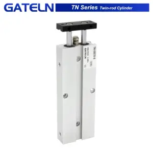 TN10 TN16 TN20 TN25 TN32 Twin-rod cylinder double acting Air Cylinder TN16X50S TN20X25S TN32X5S TN20X50S