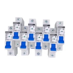 CHINT AC DC Circuit Breaker CB-60A Air Switch 1P Communication Dedicated 12V 24V Electric Vehicle MCB Solar Original Product