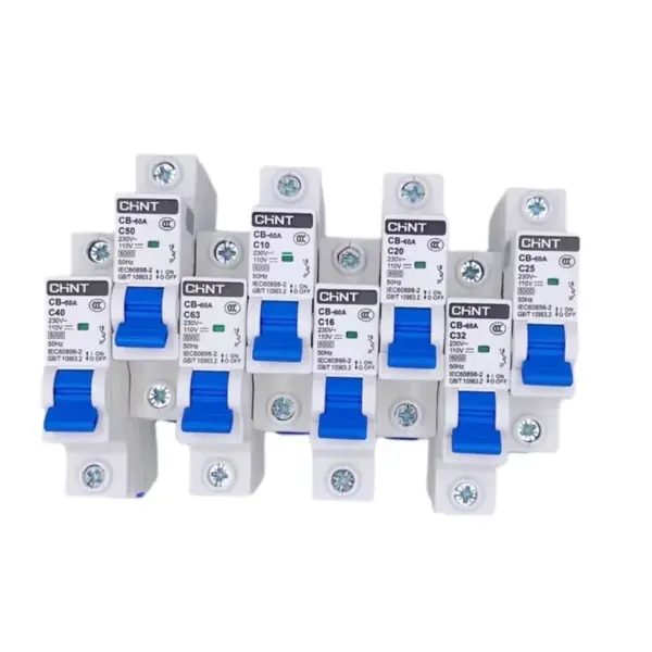 CHINT AC DC Circuit Breaker CB-60A Air Switch 1P Communication Dedicated 12V 24V Electric Vehicle MCB Solar Original Product