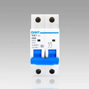 CHNT MCB NB1-63 2P low voltage mini miniature circuit breaker Modular DIN Rail motor protection Air Switch CHINT