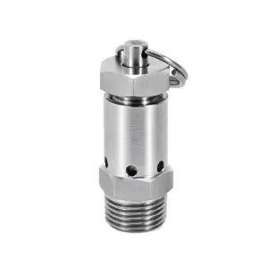 Adjustable 304 Stainless Steel Safety Pressure Relief Valve 1/4 1/2" BSPT Male  0.5-10 Bar for Air Compressor Cooker Homebrew