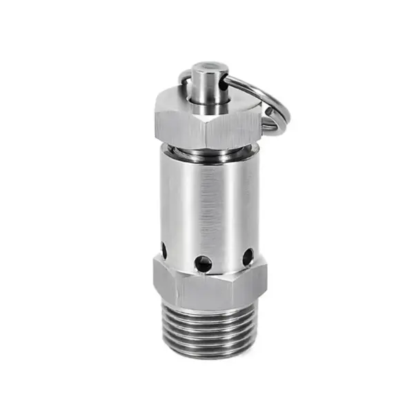 Adjustable 304 Stainless Steel Safety Pressure Relief Valve 1/4 1/2" BSPT Male  0.5-10 Bar for Air Compressor Cooker Homebrew