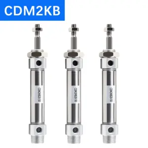 CDM2KB16/20/25/32/40 Series Stainless Steel Magnetic Ring 25-500mm Stroke Double Acting Mini Pneumatic Air Cylinder