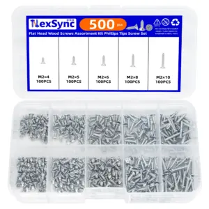 500pcs Flat Head Wood screws Assortment kit Phillips Tips screw set M2x4 M2x5 M2x6 M2x8 M2x10 Self-tapping Screws Wood Screw