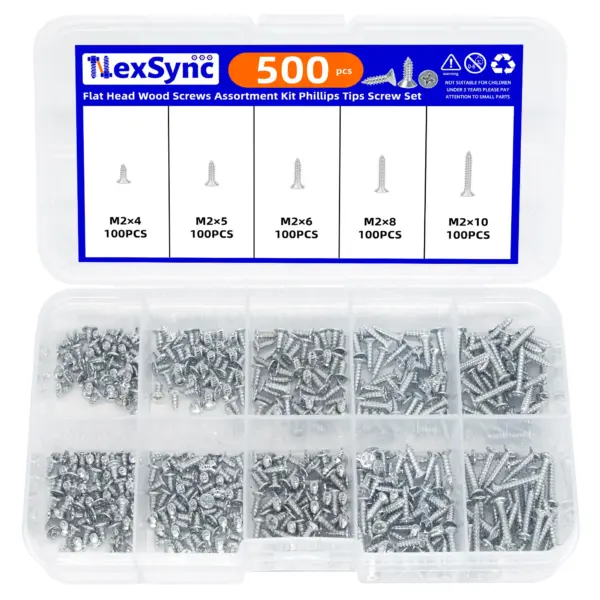 500pcs Flat Head Wood screws Assortment kit Phillips Tips screw set M2x4 M2x5 M2x6 M2x8 M2x10 Self-tapping Screws Wood Screw
