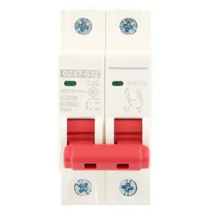 Air Switch DZ47-63Z 2P Circuit Breaker DC 500V 10A/16A/20A/32A/40A/63A Mini Circuit Breaker MCB Power Distribution